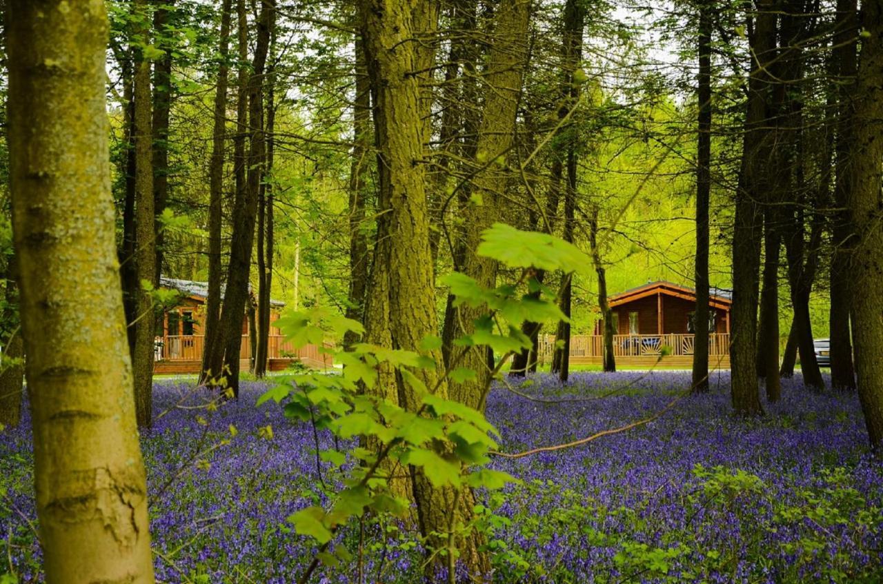 Hollicarrs - Stag Lodge Йорк Екстериор снимка